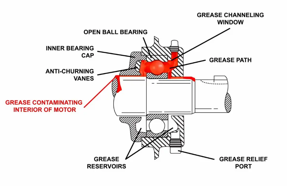 cross-section